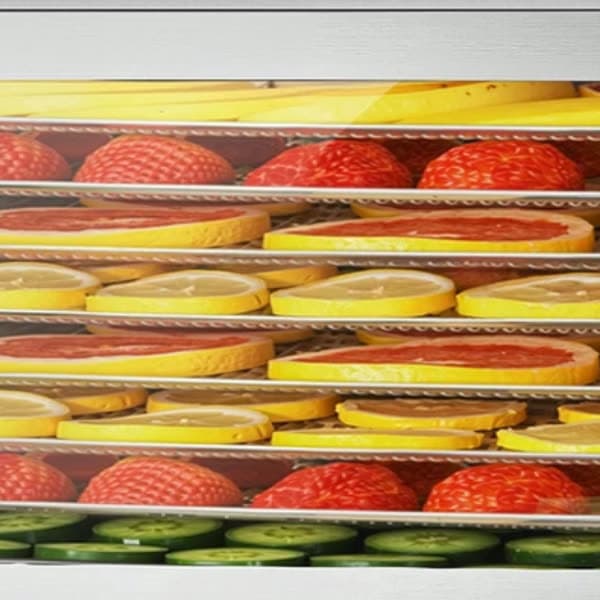 Viewing Window & Stainless Trays