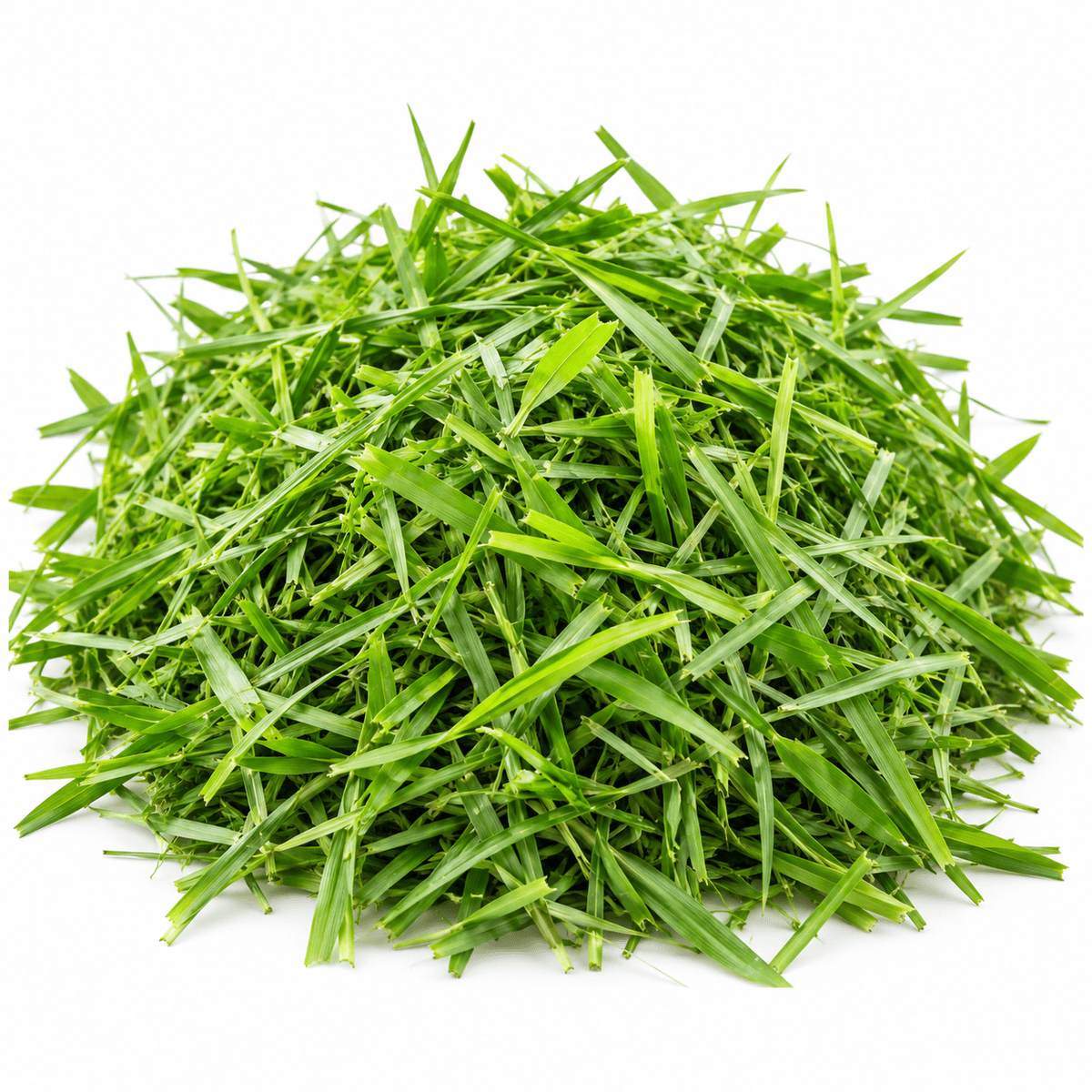 Fresh grass cut into fodder